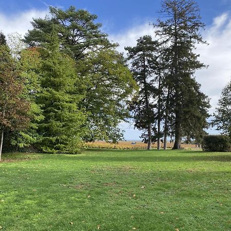 Manoir De Villamont Savigny-lès-Beaune Exteriör bild